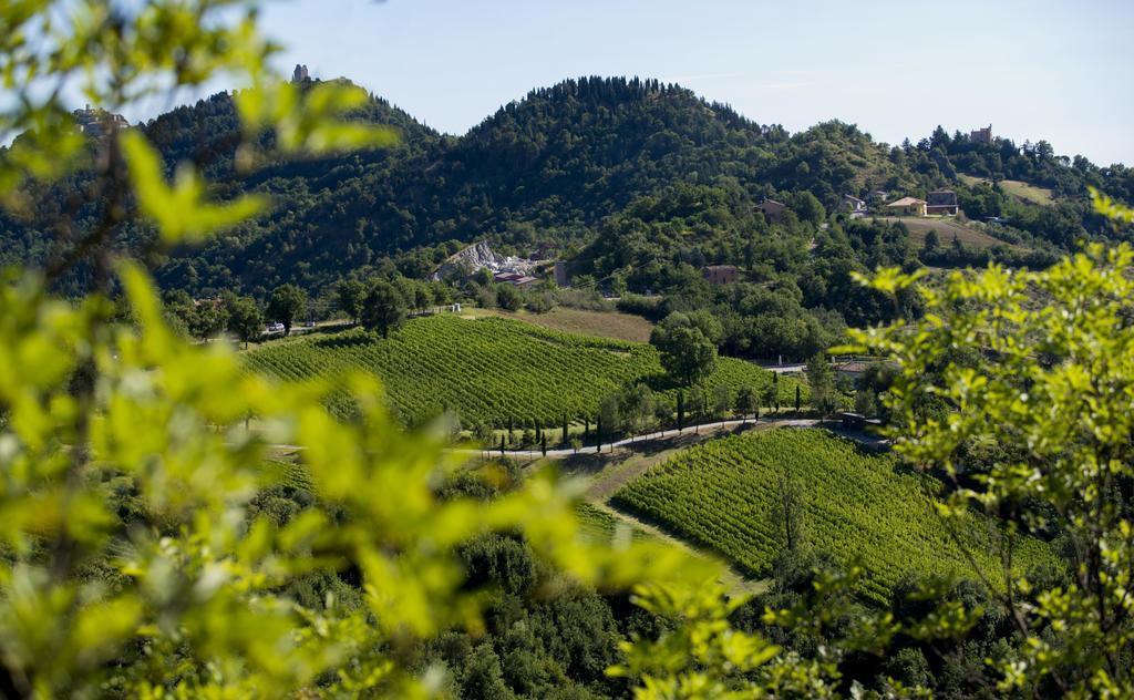 Tenuta Saiano Resort Torriana المظهر الخارجي الصورة